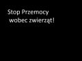 Stop przemocy wobec zwierząt!