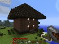 Minecraft- mój dom :)