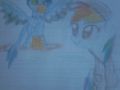 blue gryfeł...