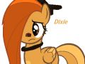 Dixie !!!