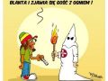 XD