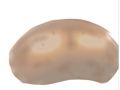 zimniok