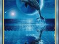 delfin na tle księżyca