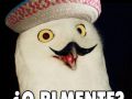 Hola...?