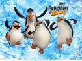 Pingwiny z Madagaskaru
