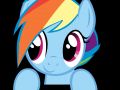 Dashie