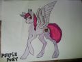 Purple Pony (Dla PurpleGirl)