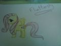 fluttershy