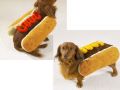 Hot Dog dosłownie;)