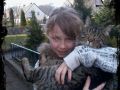 Cats ^^