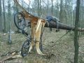 Im Łami-drzewo
