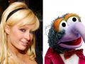 Paris Hilton i Gonzo