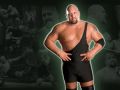 the BIG SHOW WIELKIE SHOW