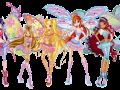 winx xD