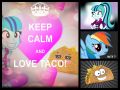 Love TACO!!!