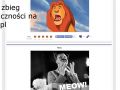 tak bardzo koty