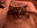 gruby