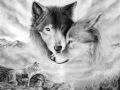 wilki