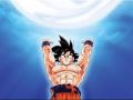 Son Goku
