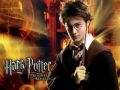 harry potter ( jestem najwiekszym fanem)