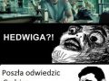 Hedwiga???