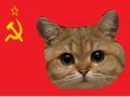 Komunistyczne Imperium Kotów