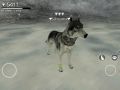 Ja w Wolf Olnine!