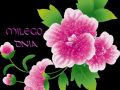 Miłego dnia