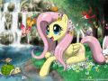 Fluttershy razy 2!