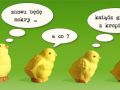 Kaczki i kropidło