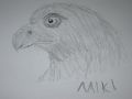 mój rysunek głowy orła