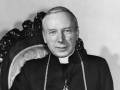 Wyszek