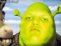 Shrek jako Kula
