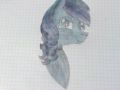 Rara - Hrabina Coloratura