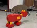 Cat-bot