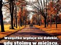 Wszystko wydaje się tak dalekie...