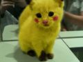 Pickachu