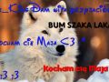 Emmm... Coś tam z wilkiem xD