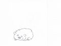 Narysowany wombat