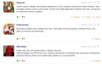komentarz obrazkowy