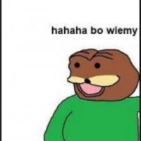 komentarz obrazkowy
