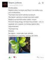 komentarz obrazkowy
