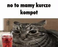 komentarz obrazkowy