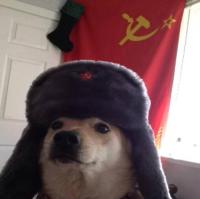komentarz obrazkowy
