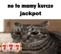 komentarz obrazkowy