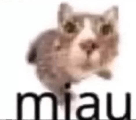 komentarz obrazkowy