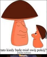 komentarz obrazkowy
