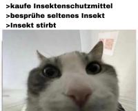 komentarz obrazkowy