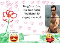 komentarz obrazkowy