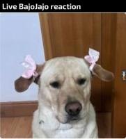 komentarz obrazkowy